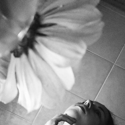 Photo #6721413