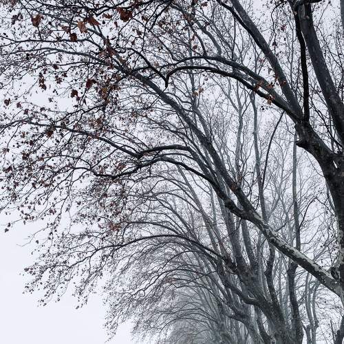 Photo #6721454
