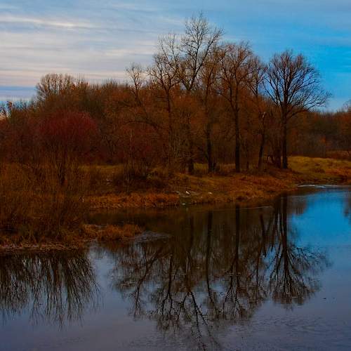 Photo #6721463