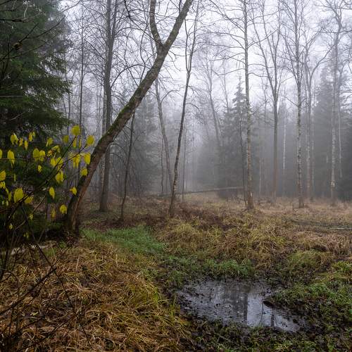 Photo #6721513
