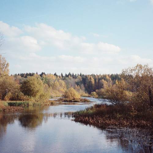 Photo #6721583