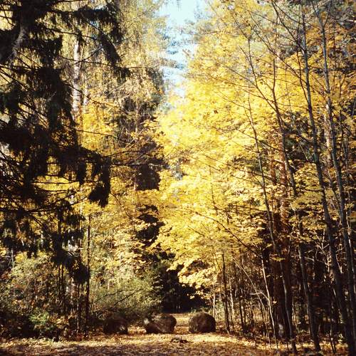 Photo #6721584