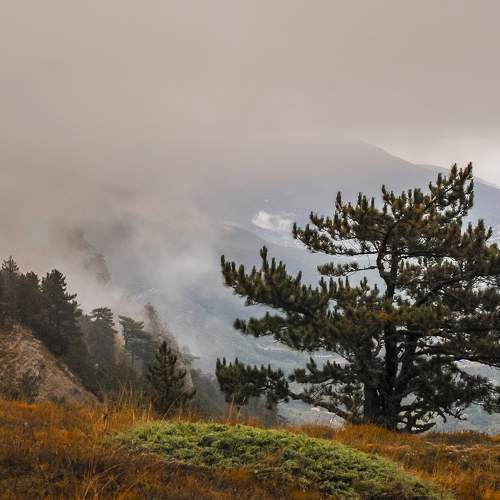 Photo #6721592
