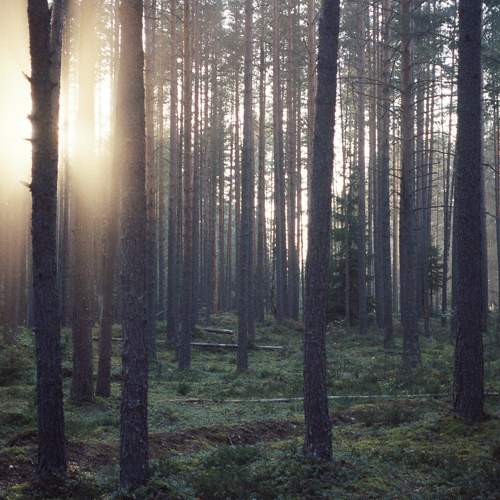 Photo #6721603