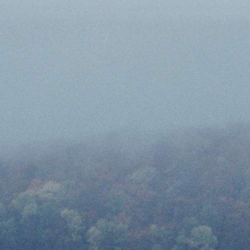 Photo #6721632