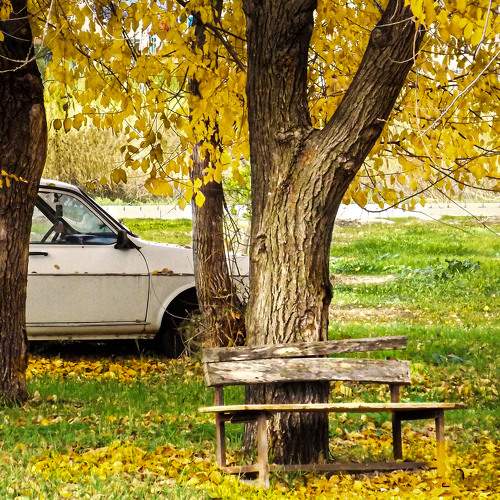 Autumn