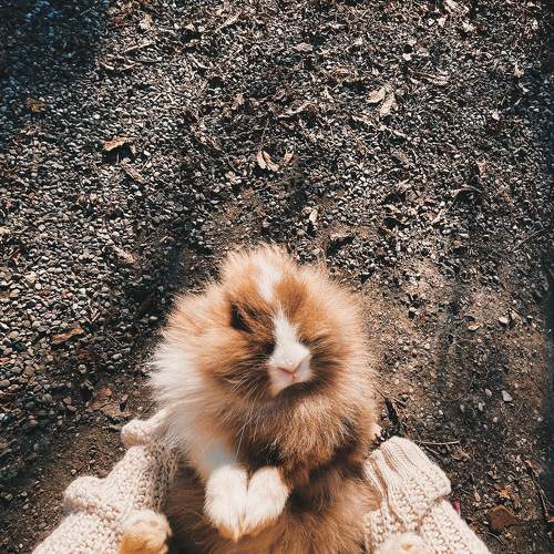 Photo #6721691