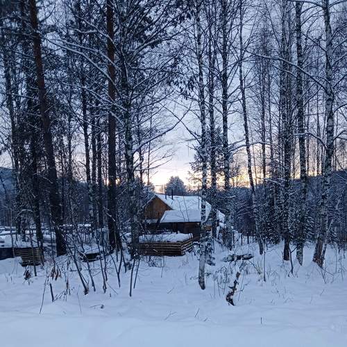 Photo #6721829