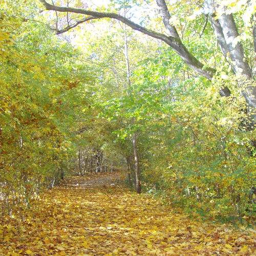 Photo #6721888