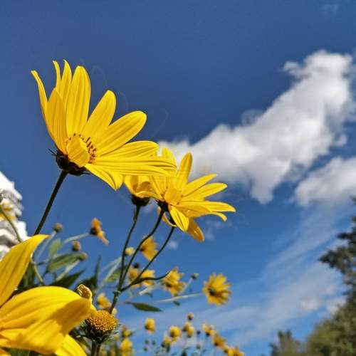 Photo #6721889
