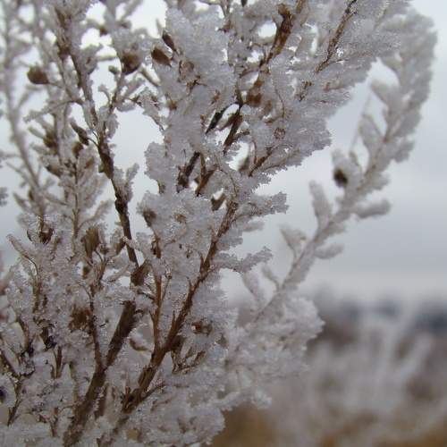 Photo #6722020