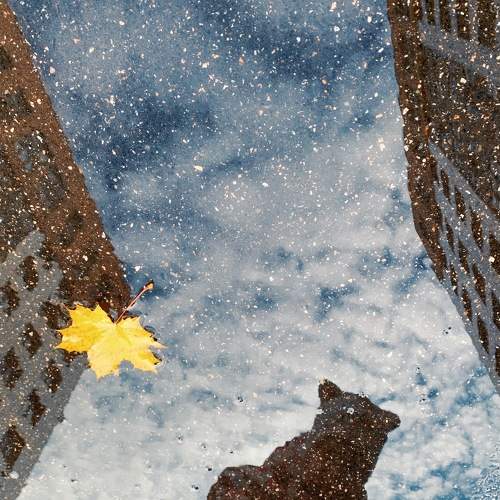 Photo #6722035