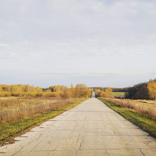 Photo #6722120