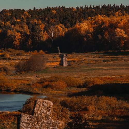 Photo #6722458