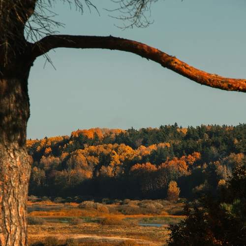 Photo #6722459