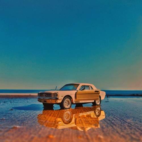 Photo #6722501