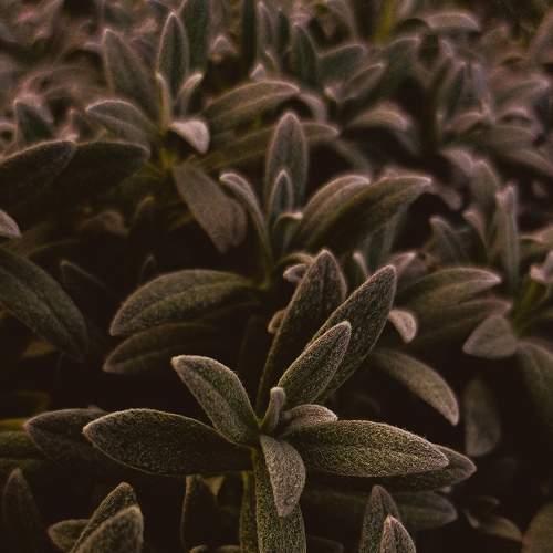 Photo #6722582