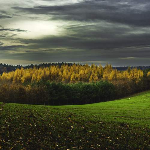 Photo #6722793