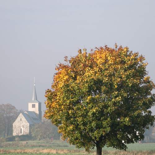 Autumn, how is it so?
