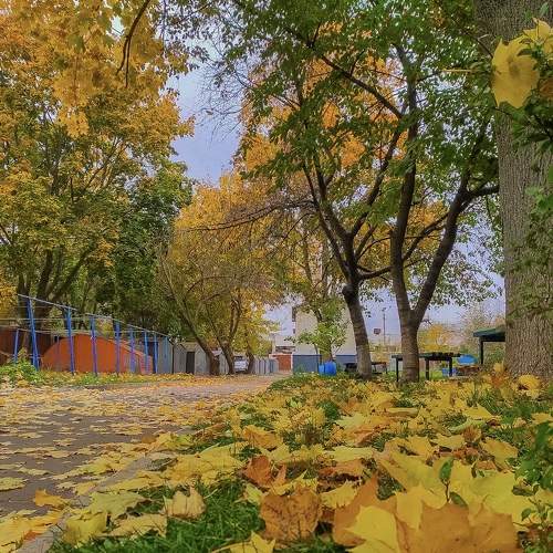 Photo #6723075