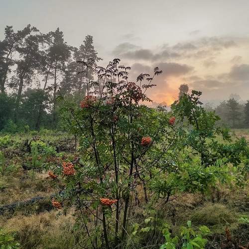 Photo #6723123