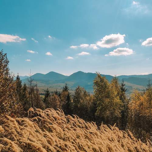 Photo #6723245