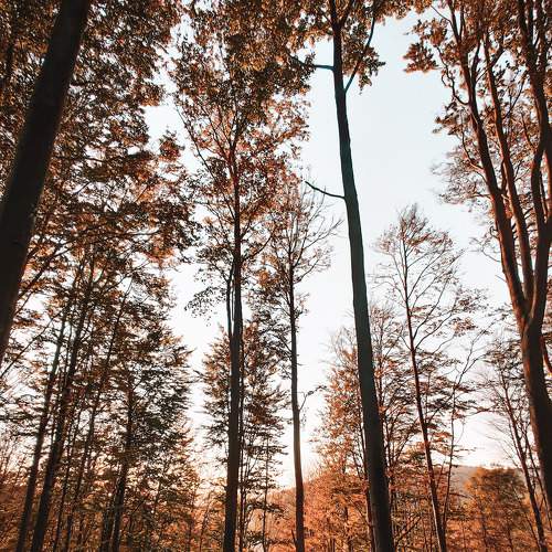 Photo #6723260