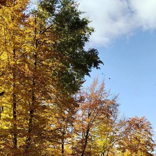 Photo #6723855