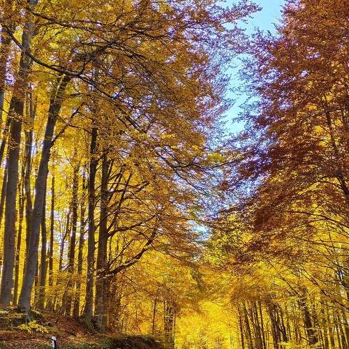 Photo #6723863