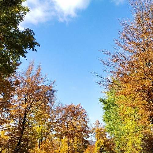 Photo #6723867
