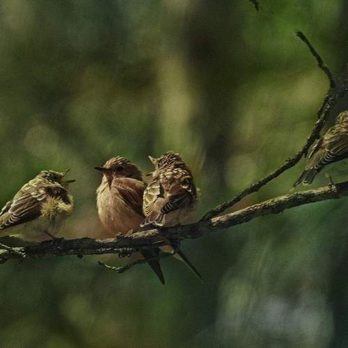 Photo #6724096