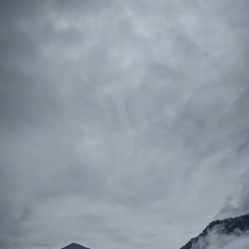 Photo #6724637