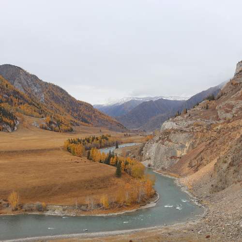 Photo #6724661