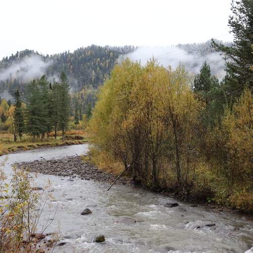 Photo #6724663