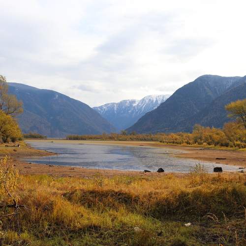 Photo #6724664