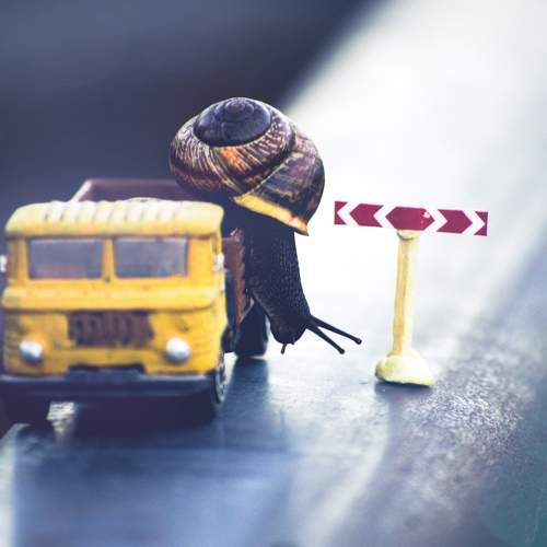 Photo #6724834