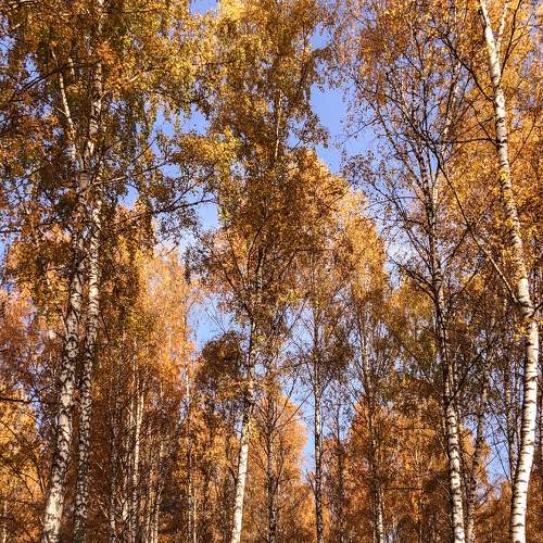 Photo #6724838
