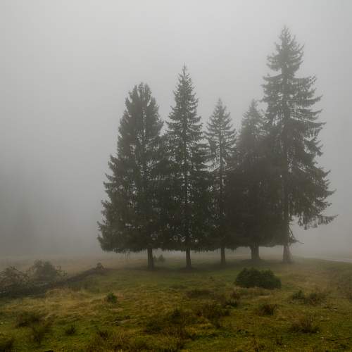 Photo #6725592