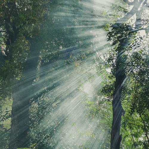 Photo #6725681