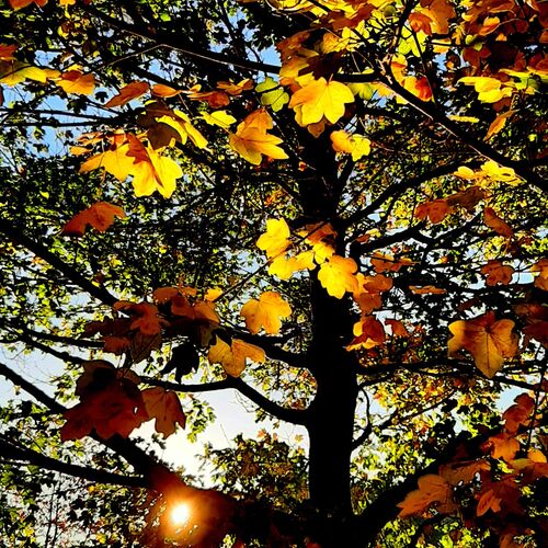 Photo #6725713