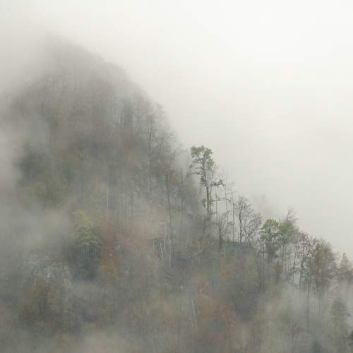 Photo #6725752