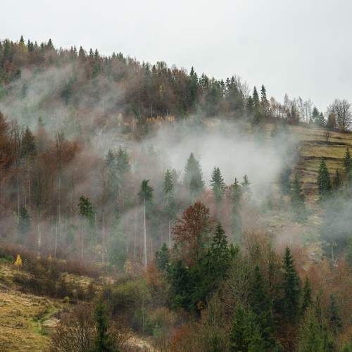 Photo #6725753