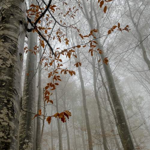 Photo #6725764