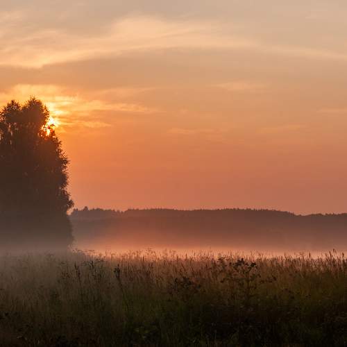 Photo #6725804