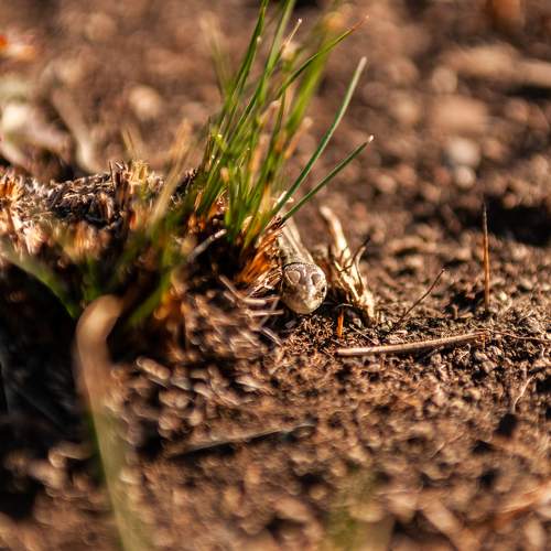 Photo #6725844