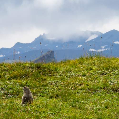 Photo #6725846