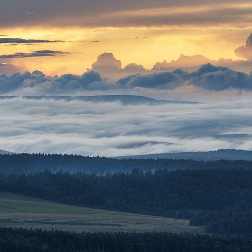 Photo #6725897