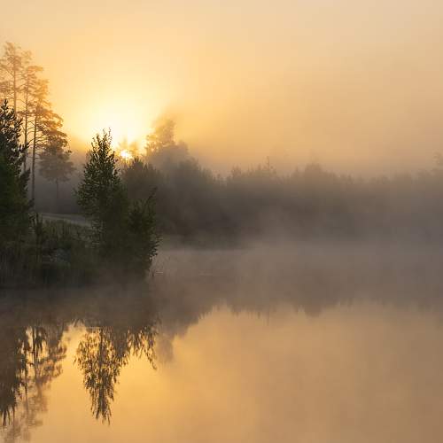 Photo #6725898