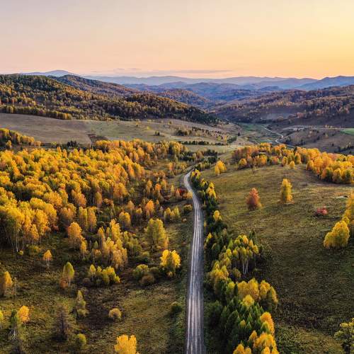 Photo #6725926