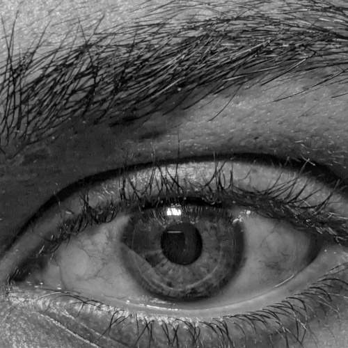 Eye